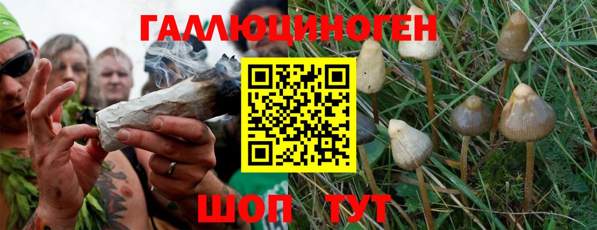 Псилоцибиновые грибы Magic Shrooms  Вход с VPN  Мирный 